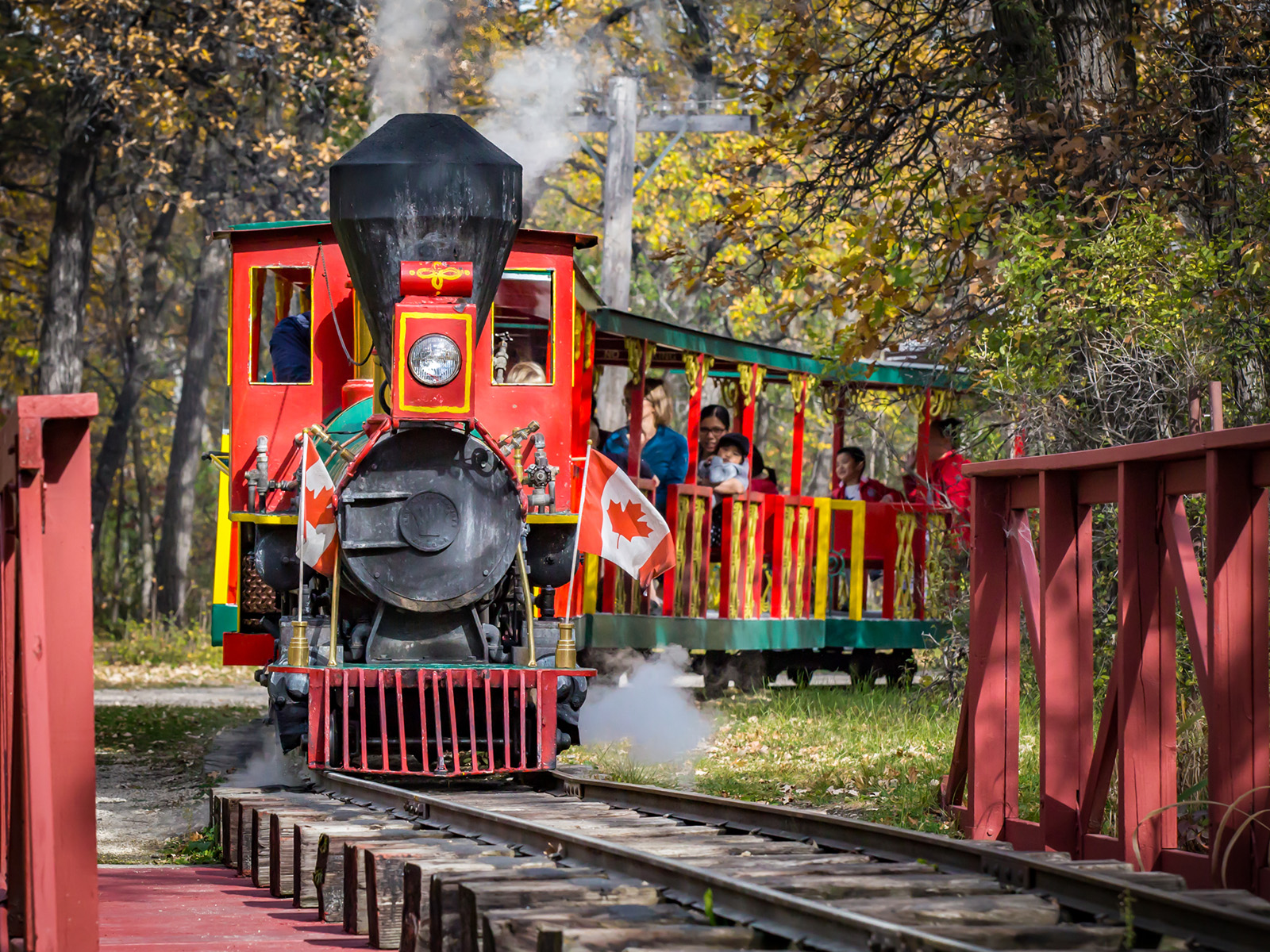 a steam train on a track in the park
